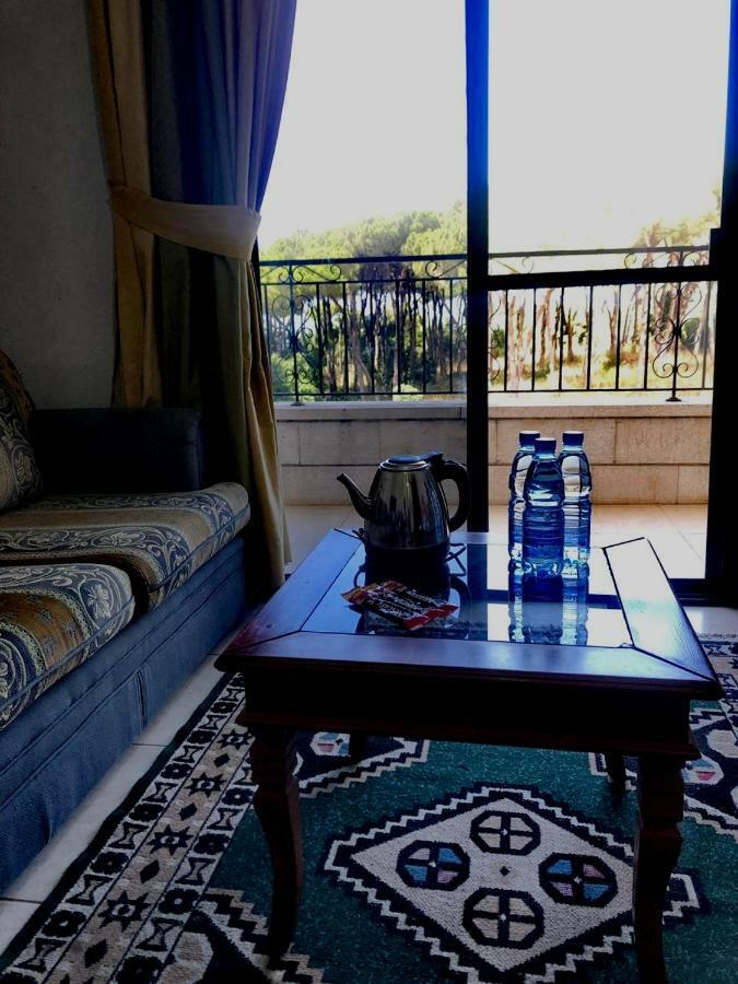 Dynasty Suite Aley Exterior photo